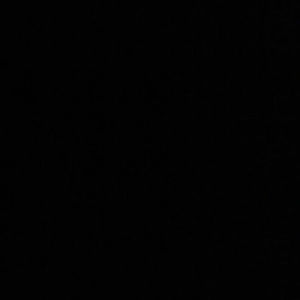 Meet your Posher, Logan